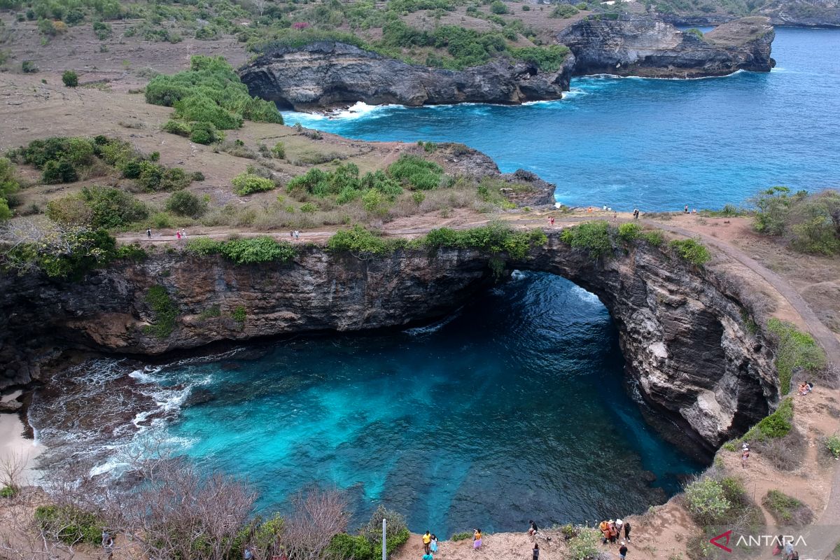 Tree House Nusa Penida
